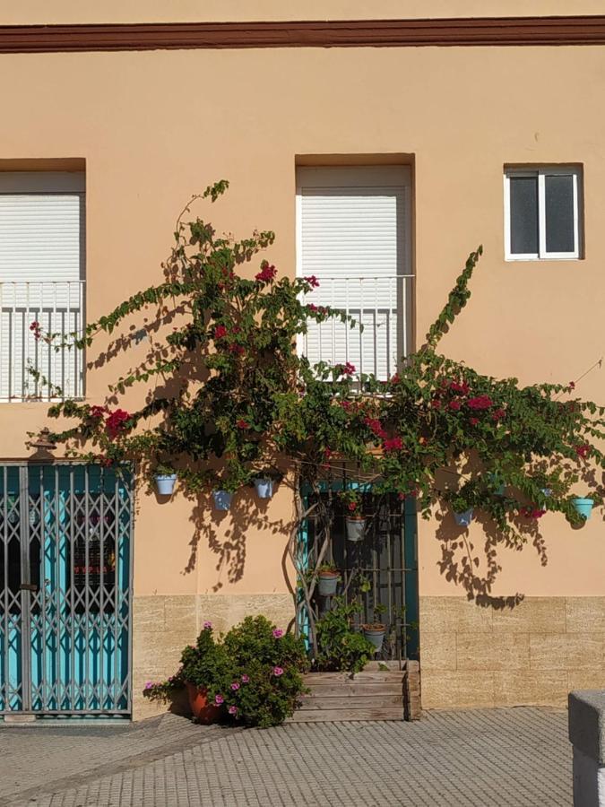 Apartamento Las Canastas Cadiz Centro エクステリア 写真